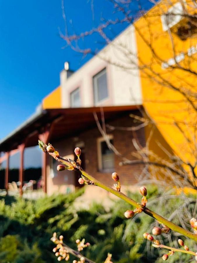 Gabi Haz Apartmanok*** Hajdúszoboszló Buitenkant foto